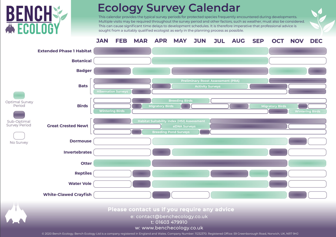 Ecology Survey Calendar
